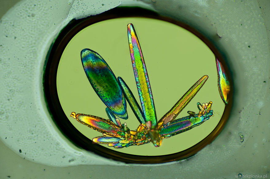 I Photograph Common Substances Through A Microscope Using Polarized Light