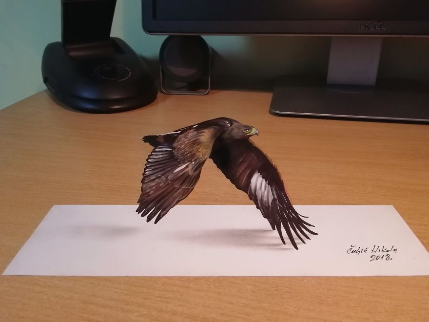 3D Eagle Flying