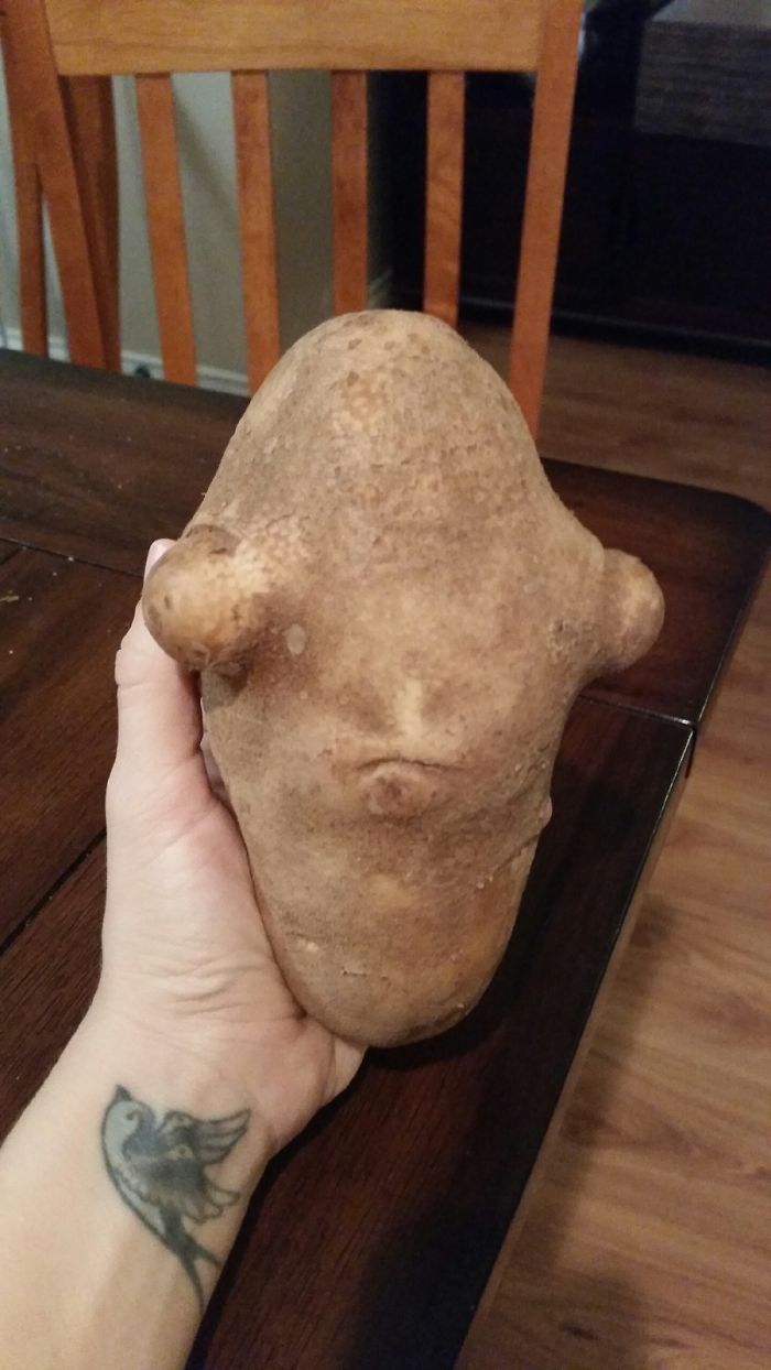 Unusually shaped potato in hand resembling an accidental cosplay character, with a bird tattoo visible on wrist.