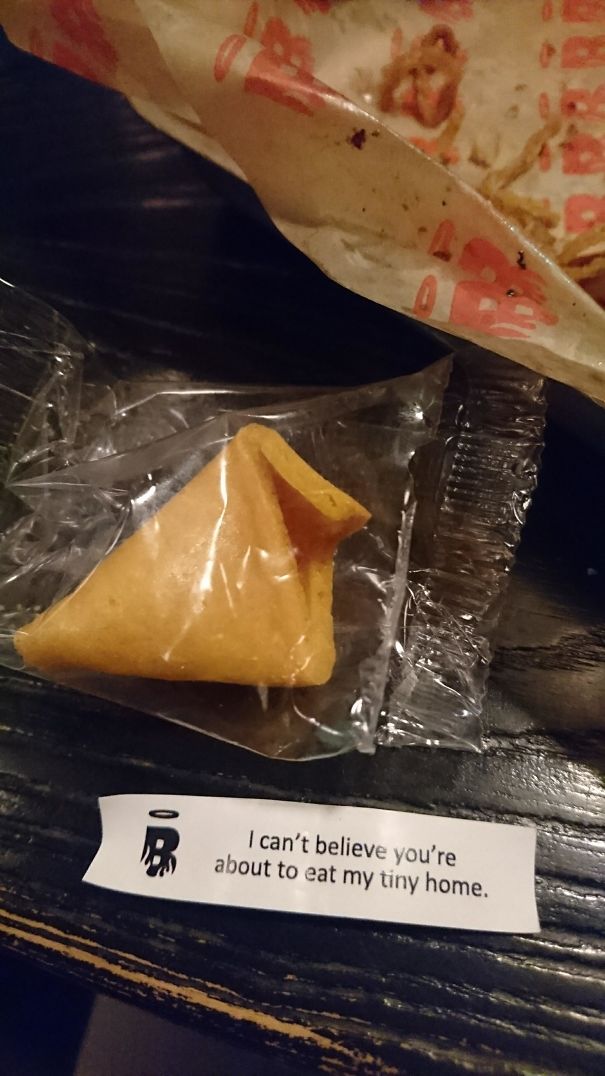 My Fortune Cookie Fortune Is Strangely Distraught