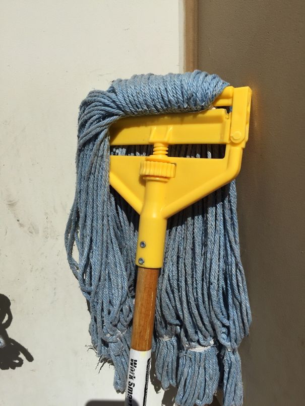 This Mop Looks Like Skrillex