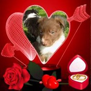 highlandsmokey1986 avatar