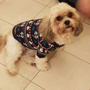 deniseking2005 avatar