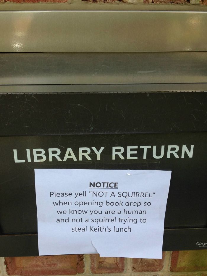 30 Times Librarians Surprised Everyone With Their Sense Of Humor | Bored  Panda