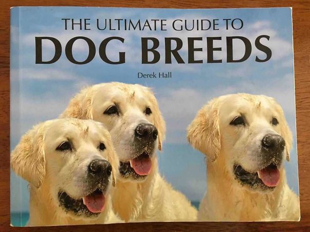 This Book Uses The Same Dog Copy And Pasted 3 Times