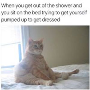 agneslebrun2000 avatar