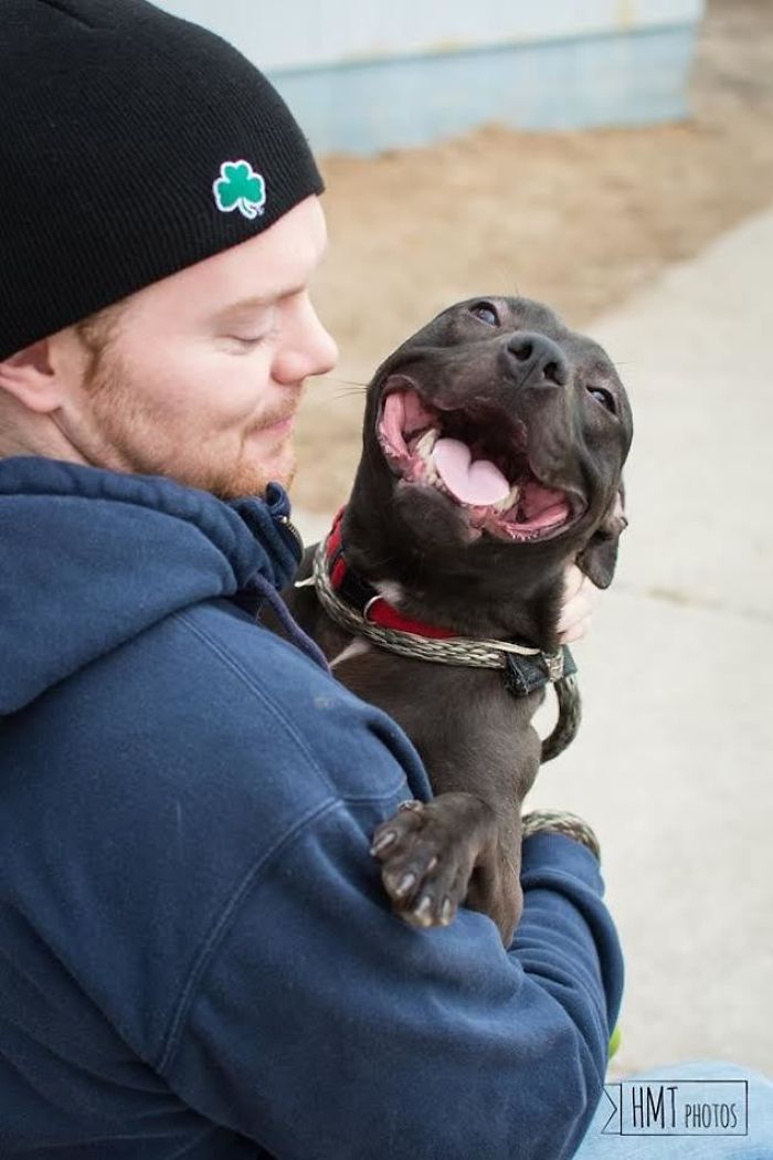 El perro más feliz del refugio