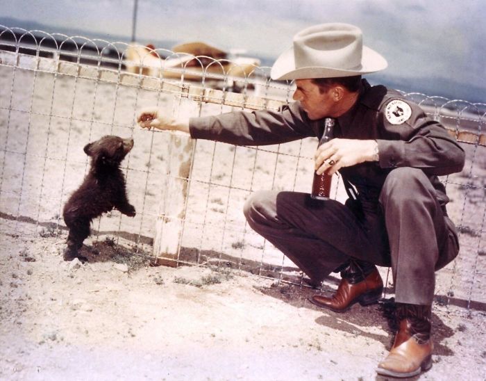An Officer With Hot Foot Teddy, The Real-Life Inspiration For Smokey The Bear, 1950