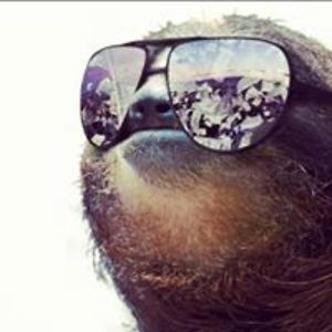 alexcooksley1 avatar