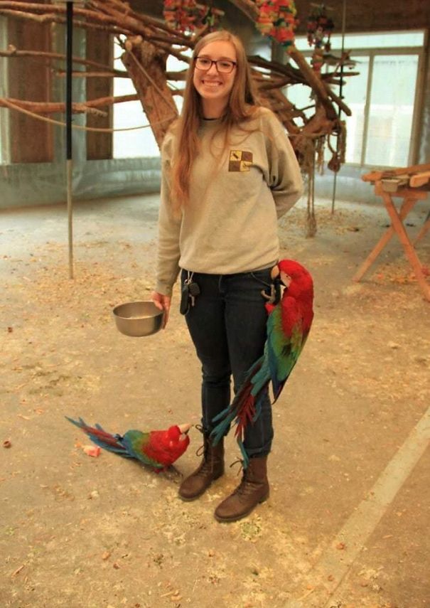 I Volunteer At A Parrot Sanctuary, And All The Birds Think Of Us As Human Jungle Gyms