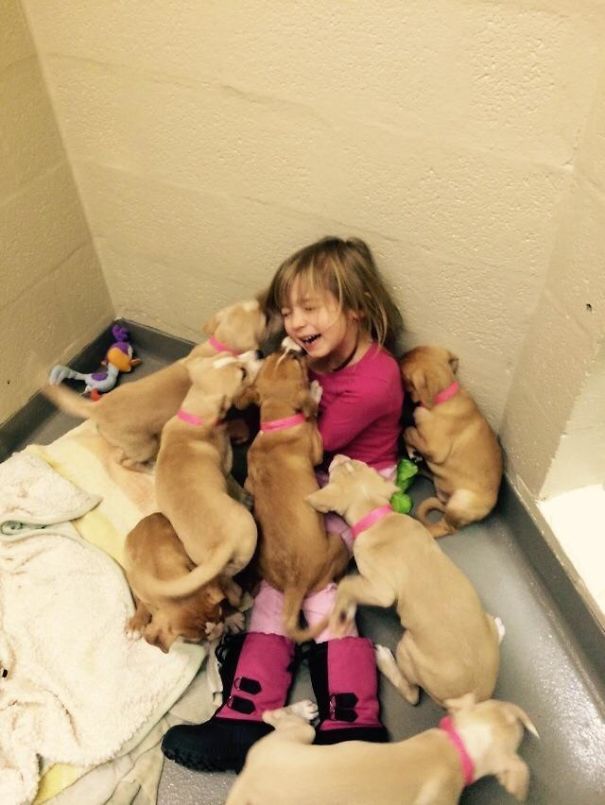 My Daughter Volunteering At Our Local Shelter, Helping Feed The Puppies. She Was Taken Down And Overpowered By Adorableness