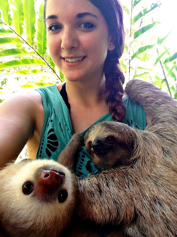 I Fulfilled One Of My Life Dreams This Summer. I Got To Volunteer With Sloths!