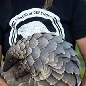 victor_nguyen_1 avatar