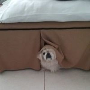 yolanda_bennett avatar