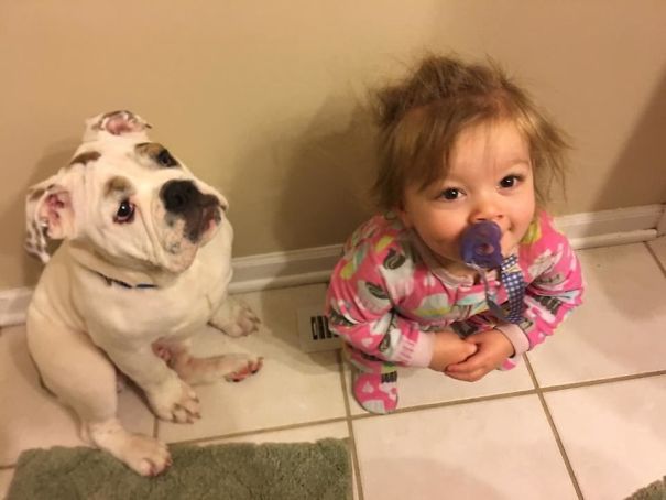 My Puppy And My Baby Girl Fight Over Who's Going To Warm Their Butt On The Vent In The Morning. The Baby Won Today. The Puppy Is Pouting About It