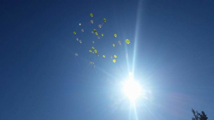 Today Was My Son, Sebastian's Funeral. My Brother In-Law Got This Picture Of The Balloons We Released After The Service