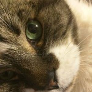 redrockchic1966 avatar