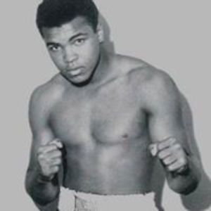 mohammedmuzamil65 avatar