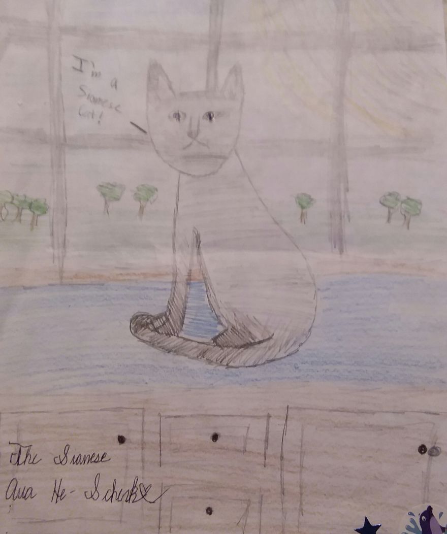 9 Year Old Girl Creates Amazing Drawings