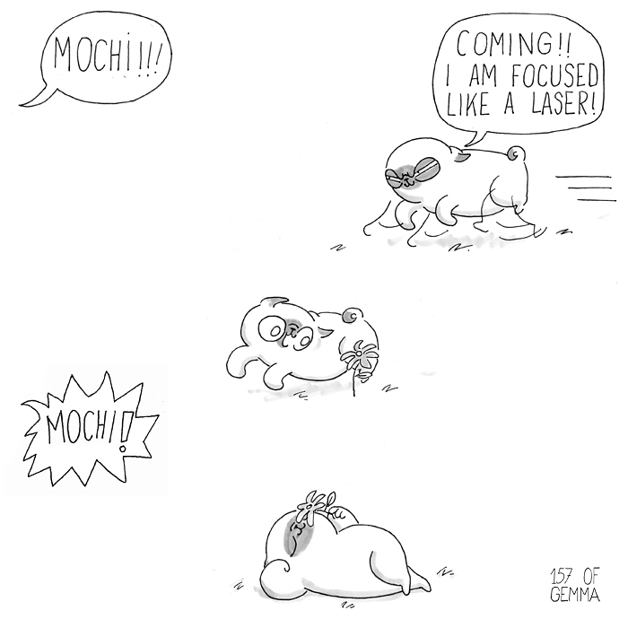 Pug-Mochi-Comic-Gemma-Gene-157ofgemma