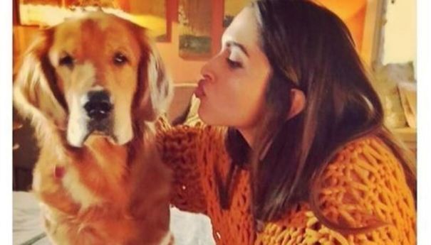 Bollywood Actors Adorable Pics With Their Pets