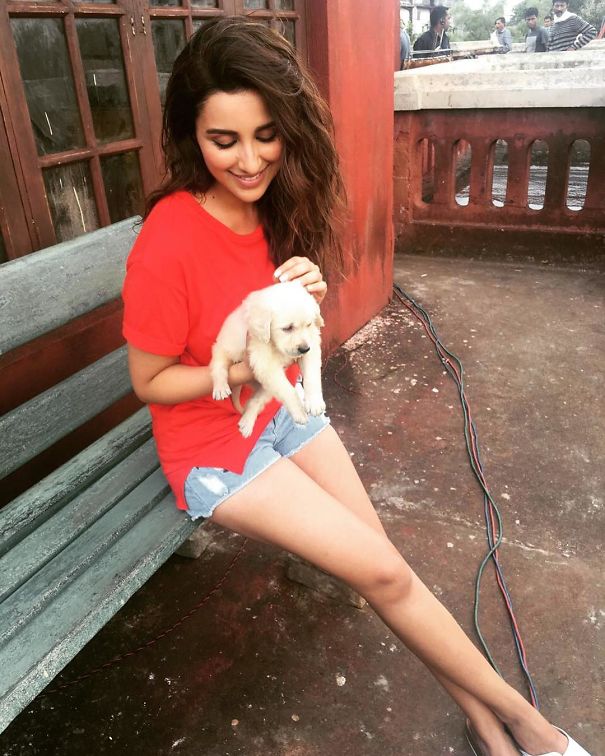 Bollywood Actors Adorable Pics With Their Pets