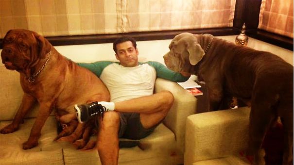 Bollywood Actors Adorable Pics With Their Pets