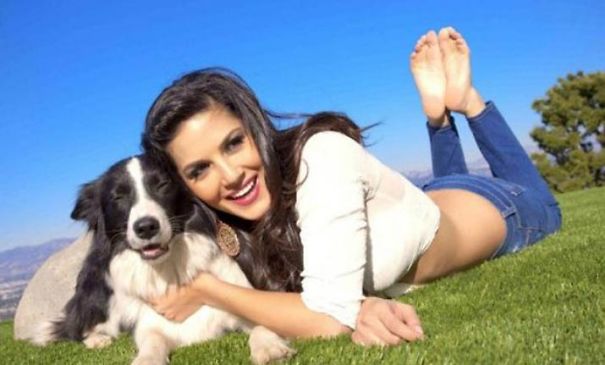 Bollywood Actors Adorable Pics With Their Pets
