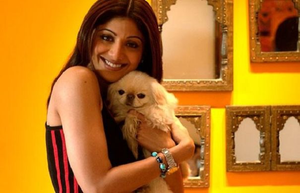 Bollywood Actors Adorable Pics With Their Pets