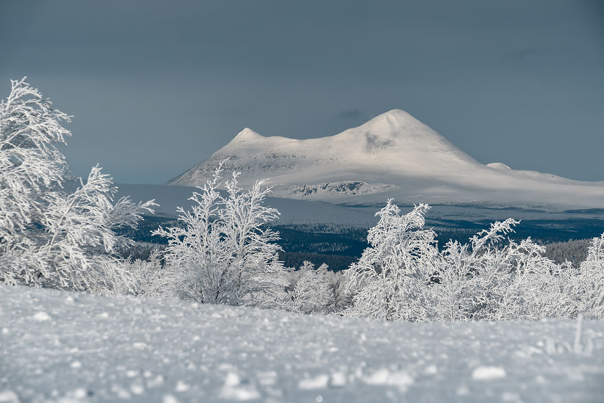 Several Weeks Of Heavy Snowfall Turned Norway Into A Winter Wonderland And I Was Lucky To Capture It