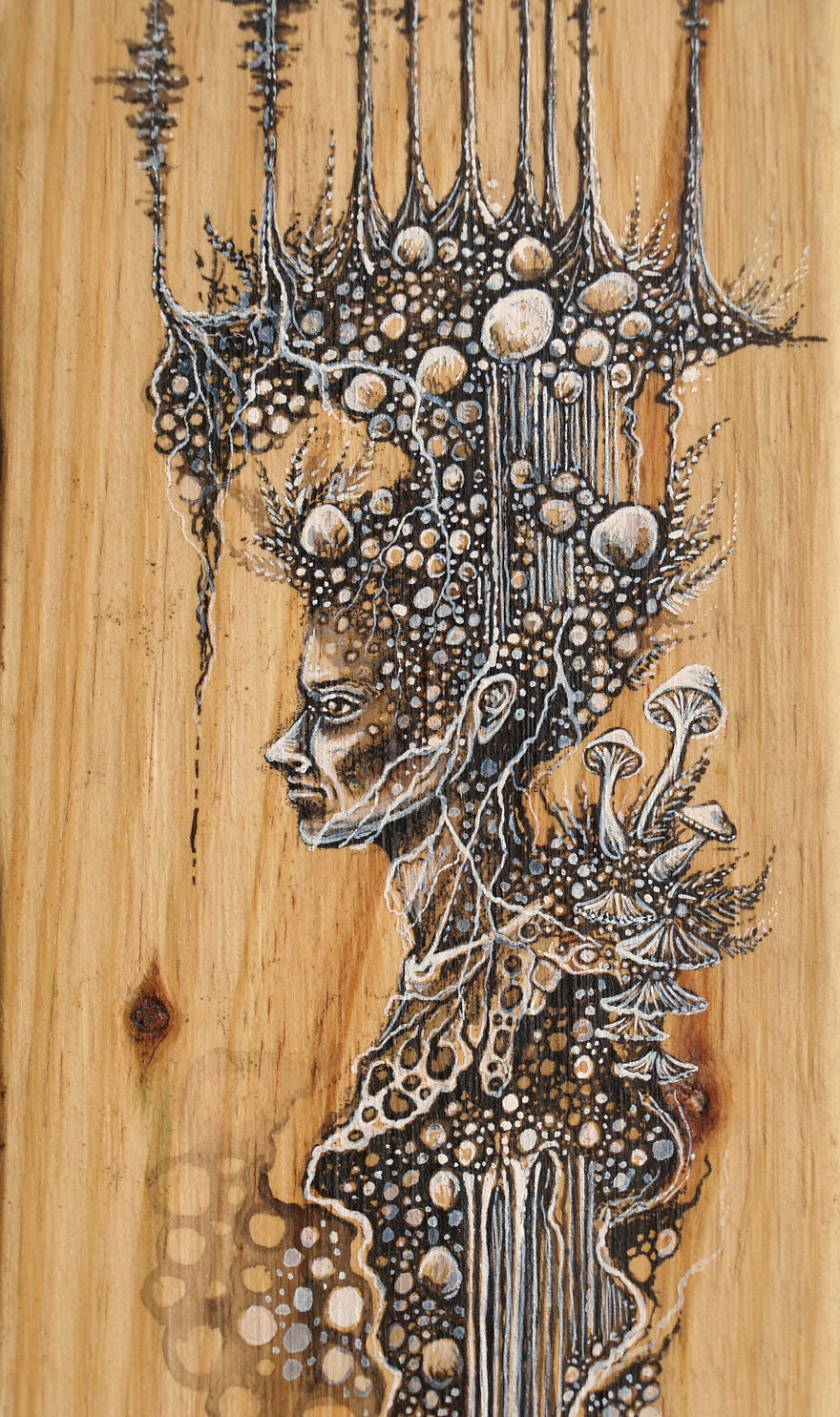 Fantasy Illustrations On Wood