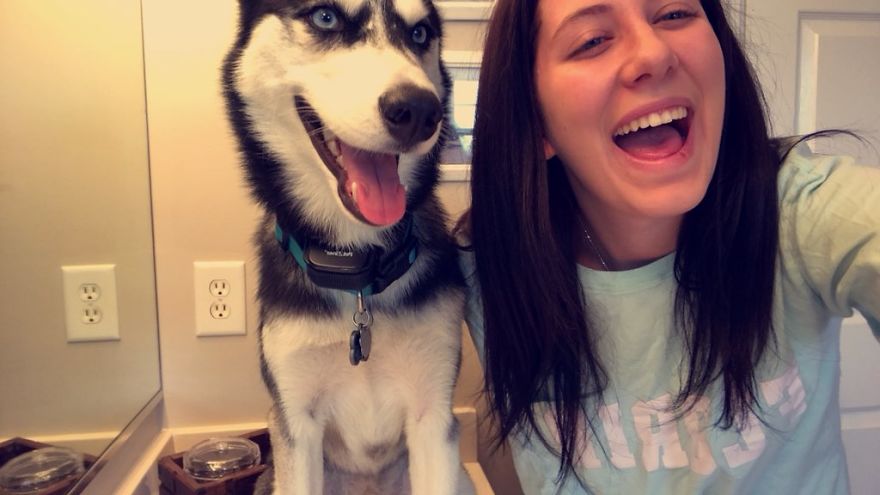 Dog Imitates His Owner In Photographs And The Internet Discovers That Almost All Dogs Can Do This