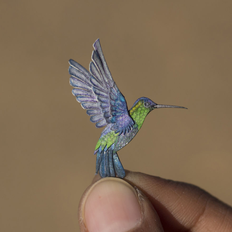 Hummingbird (Violet-Crowned Woodnymph)