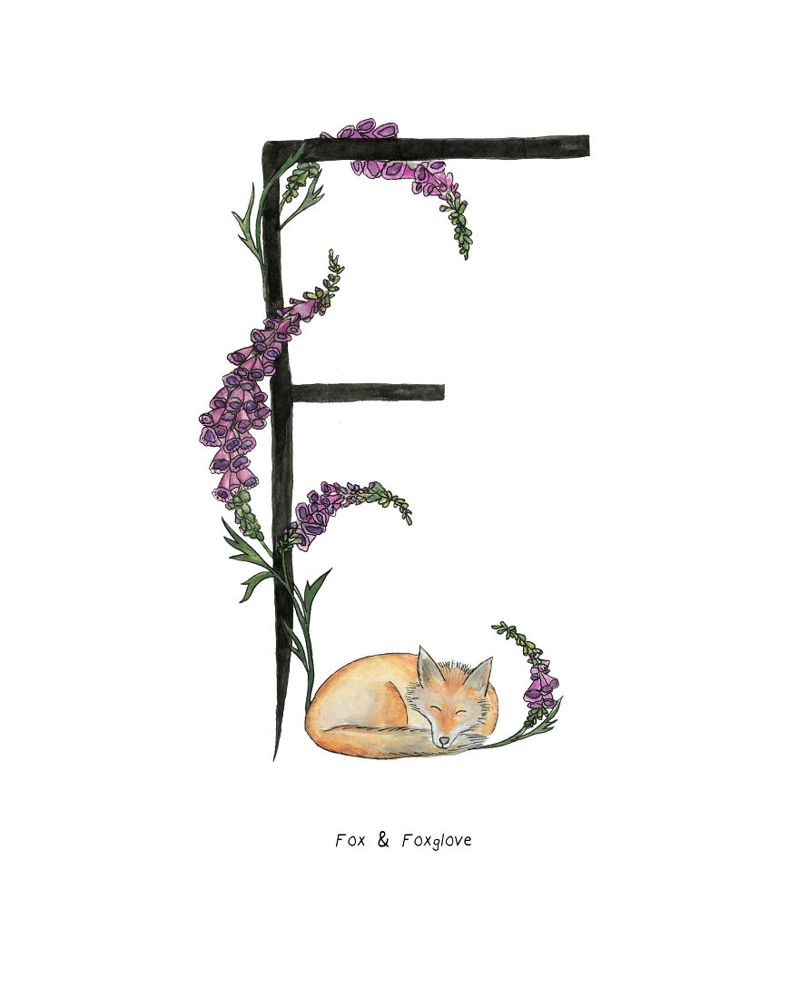 I Drew An Alphabet With Matching Smiling Animal And Plant Illustrations