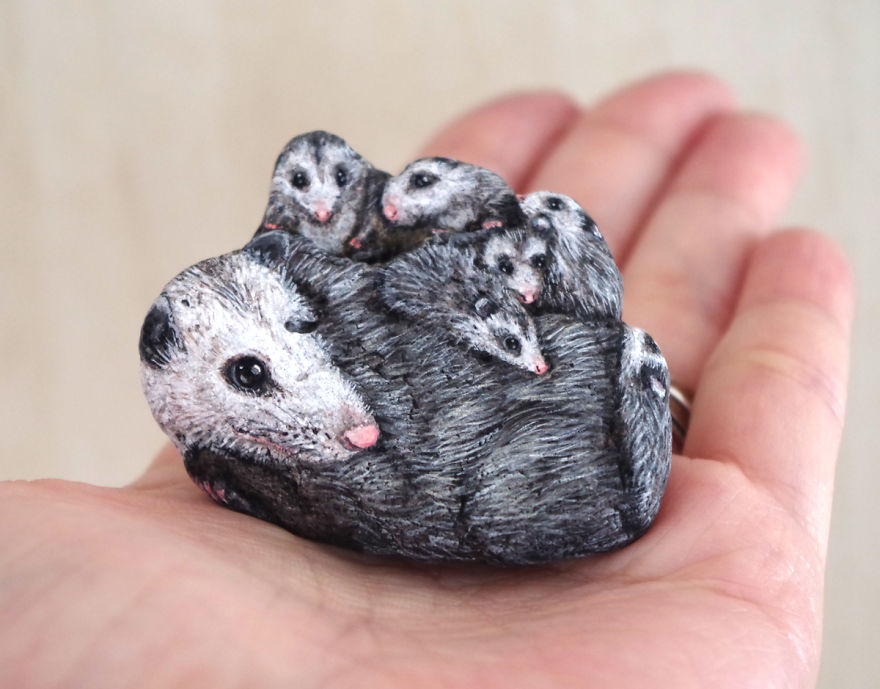 Possum Family
