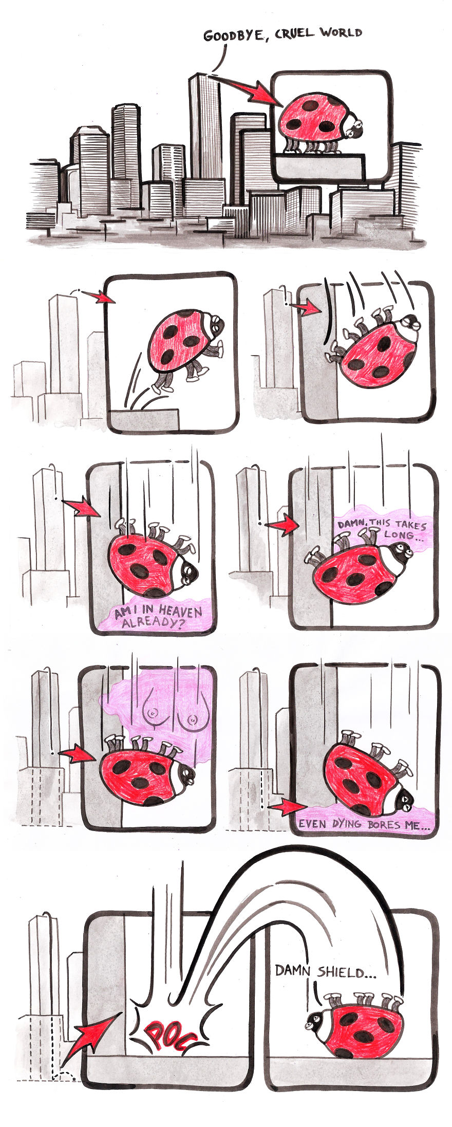 Suicidal Ladybird