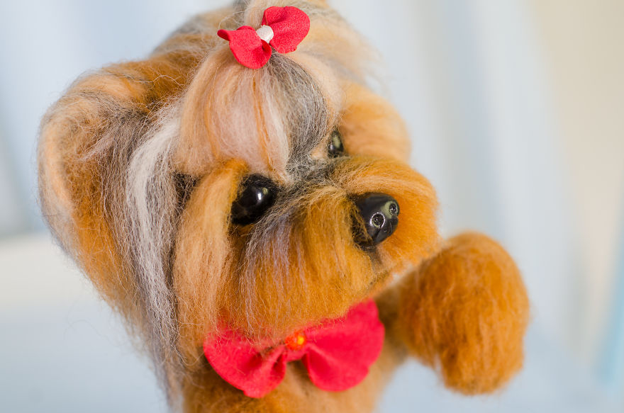 What Are These Cute Little Yorkies Made Of? What Do You Think?