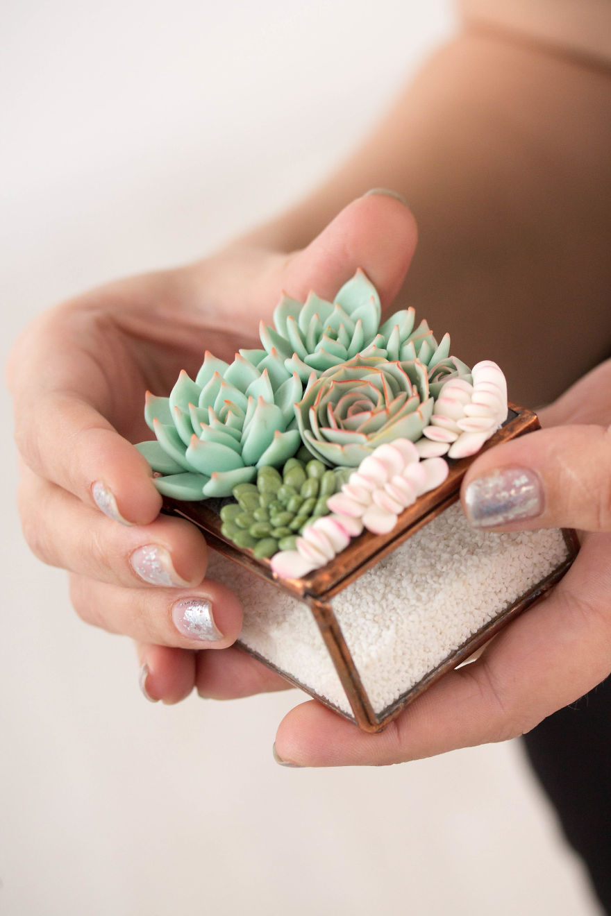 Polymer Clay And My Succulent Mania