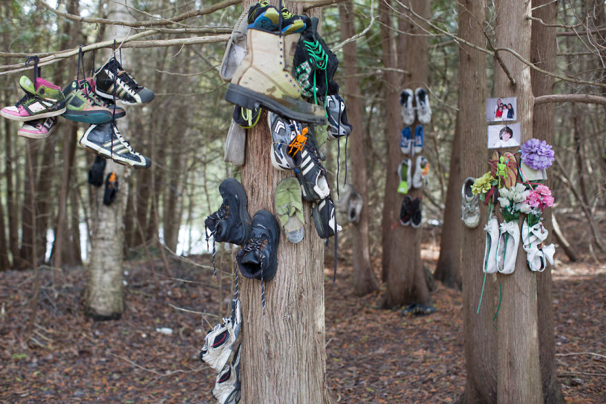 I Accidentally Found A Mysterious Forest Full Of Shoes