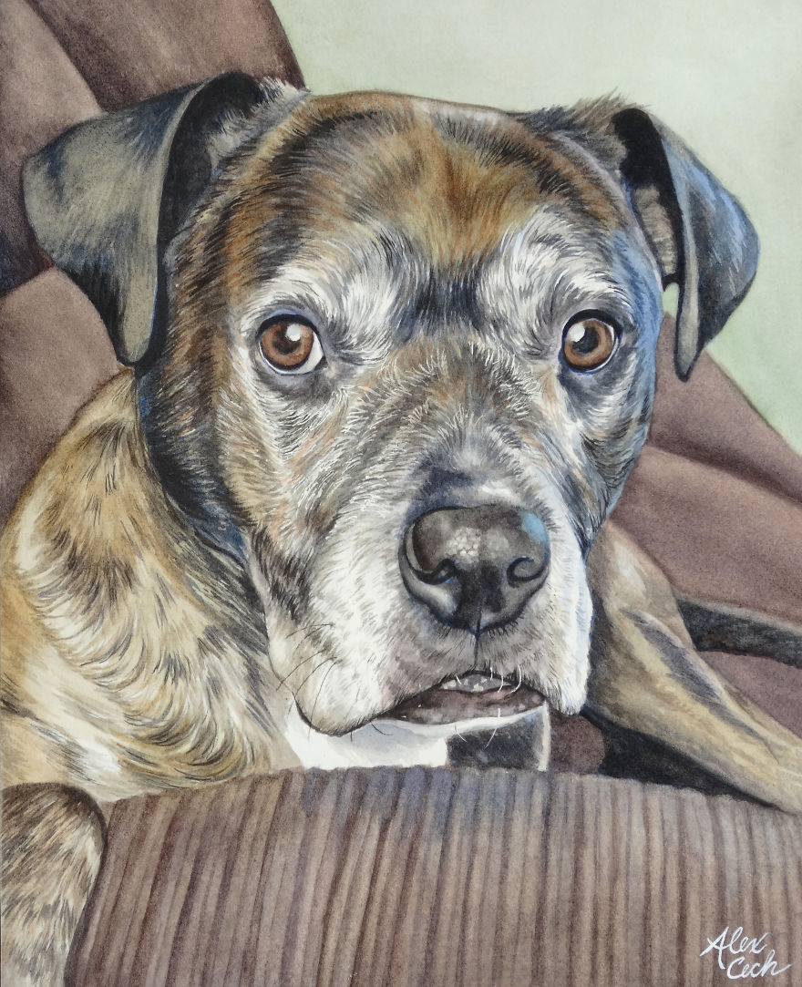 I Use Watercolor To Create Custom Pet Paintings