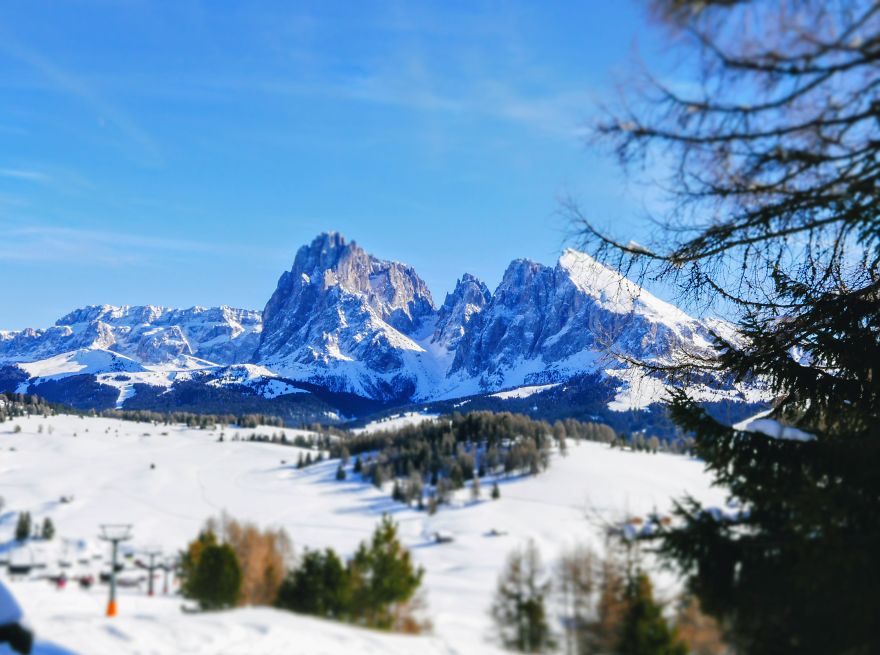 10 Photos Of Alpe Di Siusi That Will Make You Want To Visit South Tyrol, Italy