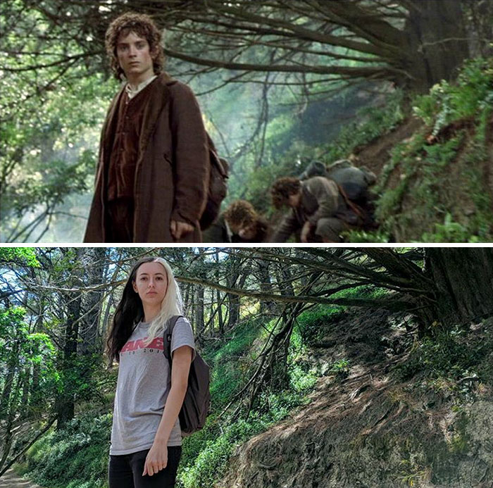 Leaving The Shire In Hobbit's Hideaway, Wellington