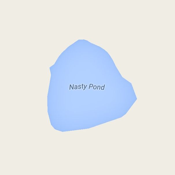 Nasty Pond, Oregon, USA