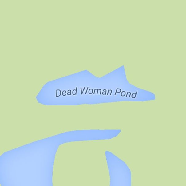 Dead Woman Pond, Texas, USA