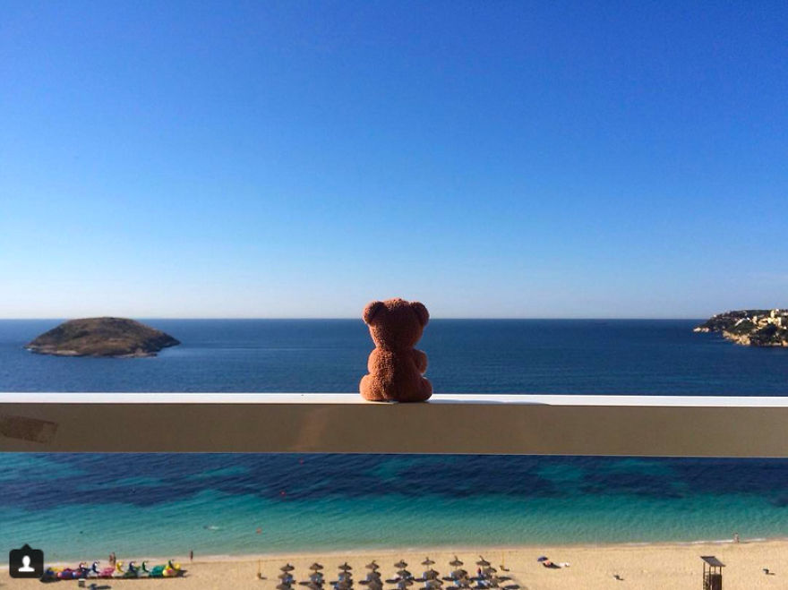 This Little Teddybear Travels Around The World And Sees The Most Beautiful Places