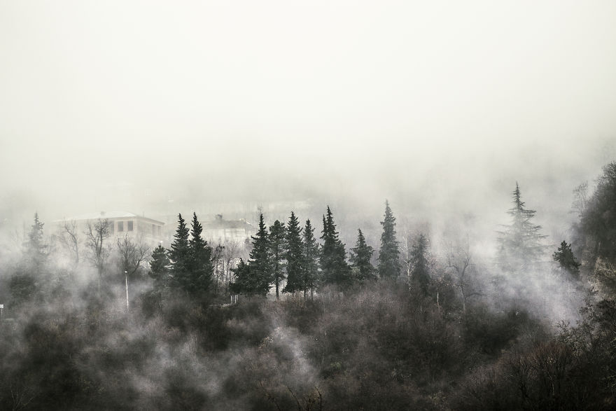 Some Of My Tries To Capture Moments In Fog