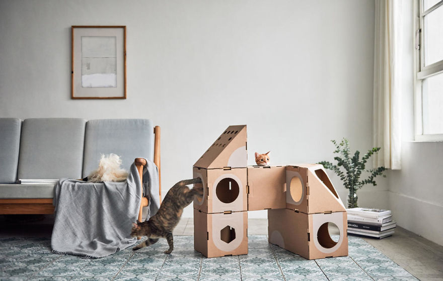 Architect Couple Turns Cardboard Boxes Into Stackable Cat Fort, And Here's How Cats React