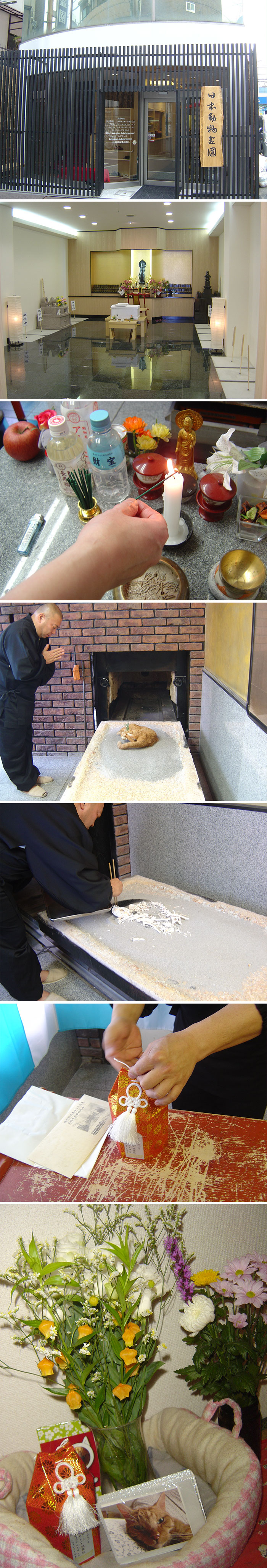 Buddhist Funeral For Our Cat In Tokyo In 2009. The Rituals Are Similar To Those For People