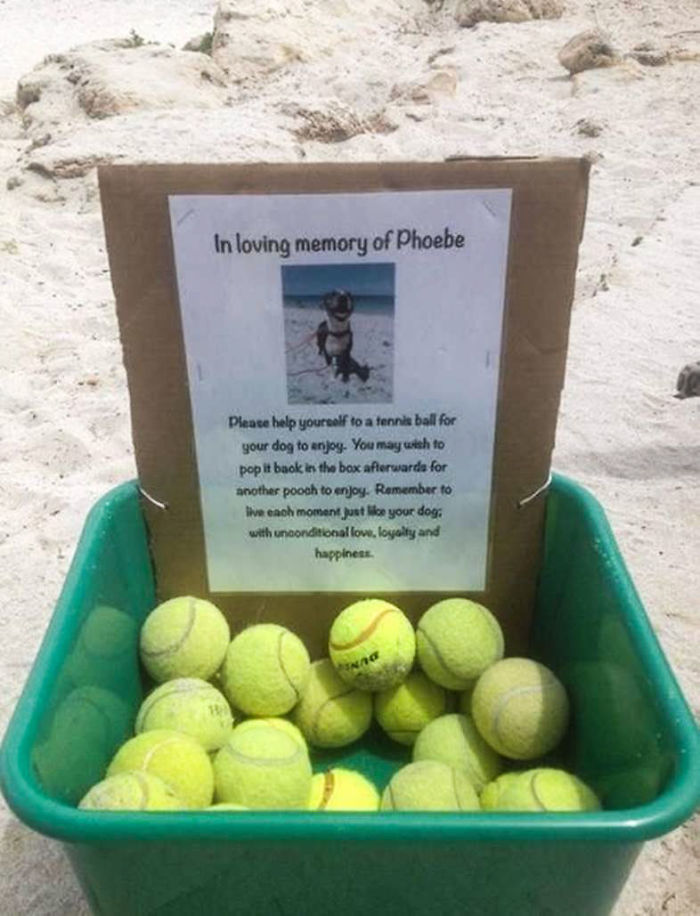 What A Beautiful Way To Remember A Cherished Pet