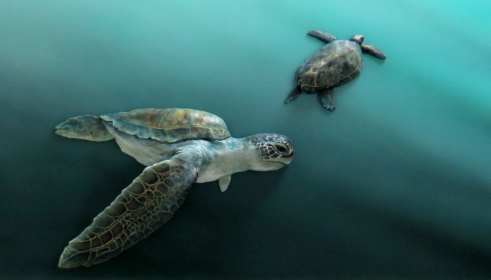 Twelve 3d Pieces I Created With Clay, Paint, Wire, Tin, Wool